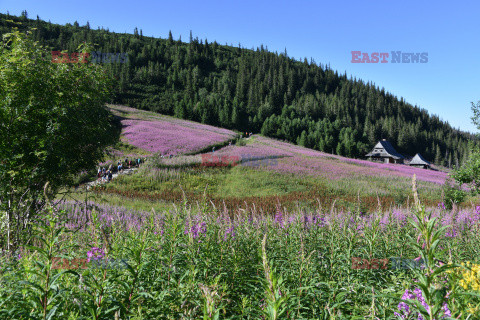 Polskie Tatry Albin Marciniak