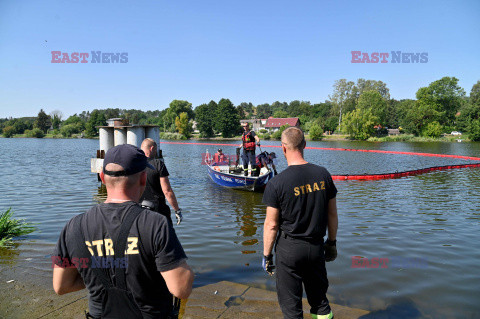 Śnięte ryby w Odrze