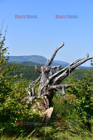 Beskidy Albin Marciniak