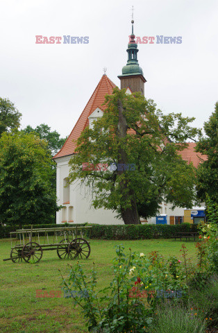 Wielkopolska Marek Bazak