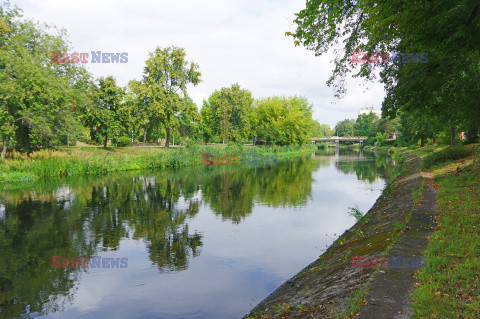 Wielkopolska Marek Bazak