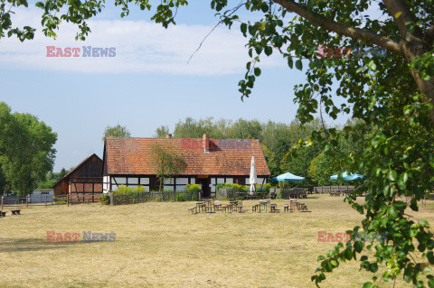 Wielkopolska Marek Bazak