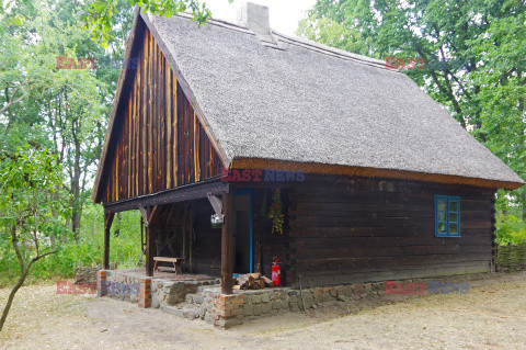 Wielkopolska Marek Bazak