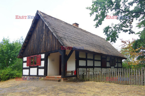 Wielkopolska Marek Bazak