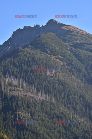 Polskie Tatry Albin Marciniak