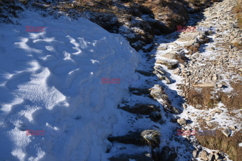 Polskie Tatry Albin Marciniak