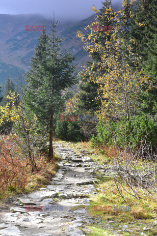 Polskie Tatry Albin Marciniak