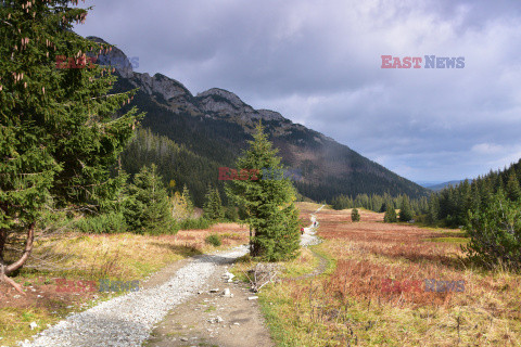 Polskie Tatry Albin Marciniak