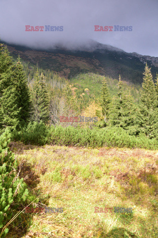 Polskie Tatry Albin Marciniak