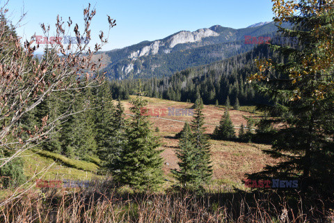 Polskie Tatry Albin Marciniak