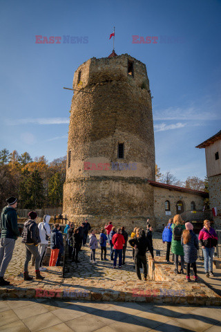 Polska DaZa