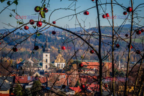 Polska DaZa