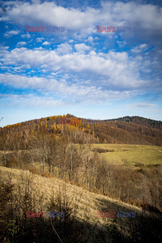 Polska DaZa