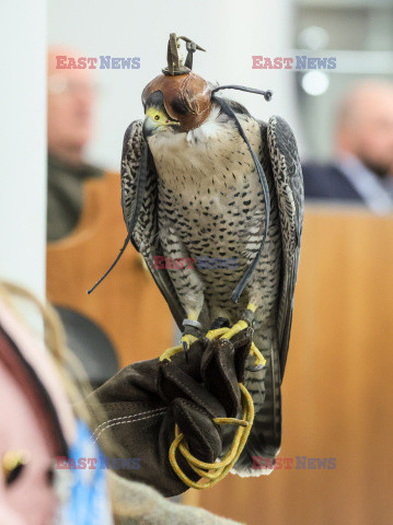 Senacka komisja środowiska o współczesnym łowiectwie