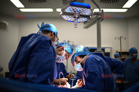 Transplantologia we Francji - AFP