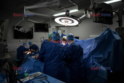 Transplantologia we Francji - AFP