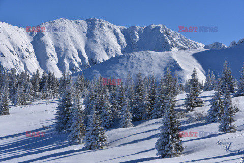 Polskie Tatry Albin Marciniak