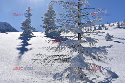 Polskie Tatry Albin Marciniak