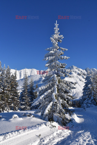 Polskie Tatry Albin Marciniak