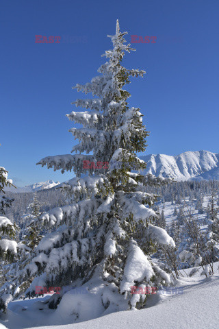 Polskie Tatry Albin Marciniak