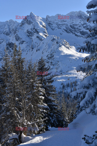 Polskie Tatry Albin Marciniak