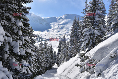 Polskie Tatry Albin Marciniak