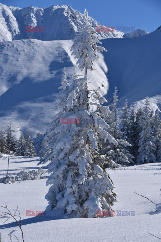 Polskie Tatry Albin Marciniak