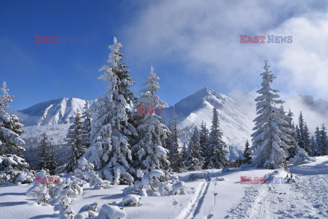 Polskie Tatry Albin Marciniak