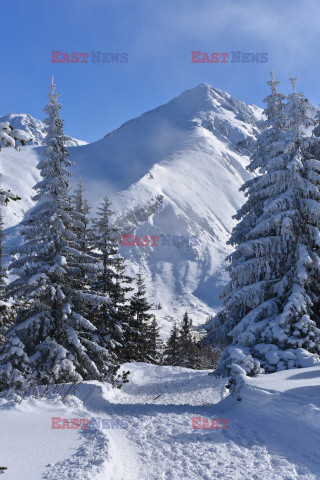 Polskie Tatry Albin Marciniak