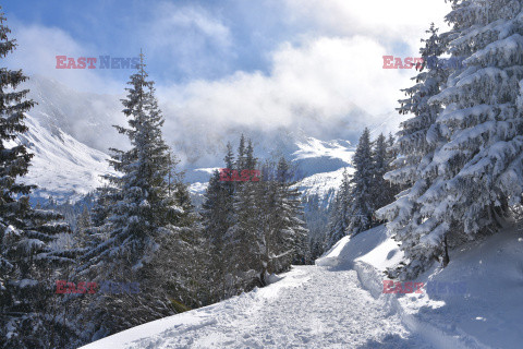 Polskie Tatry Albin Marciniak