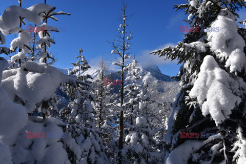 Polskie Tatry Albin Marciniak