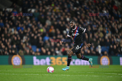 Brighton & Hove Albion v Crystal Palace - Premier League