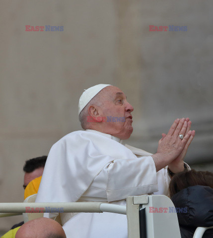 Papież Franciszek podczas audiencji