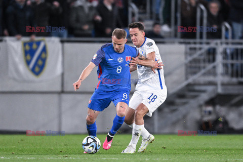 Mecz el. UEFA EURO 2024 Słowacja - Bośnia i Hercegowina