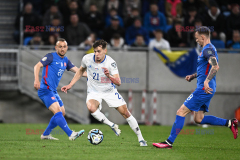 Mecz el. UEFA EURO 2024 Słowacja - Bośnia i Hercegowina