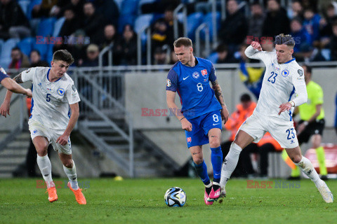 Mecz el. UEFA EURO 2024 Słowacja - Bośnia i Hercegowina