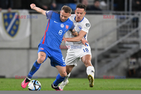 Mecz el. UEFA EURO 2024 Słowacja - Bośnia i Hercegowina