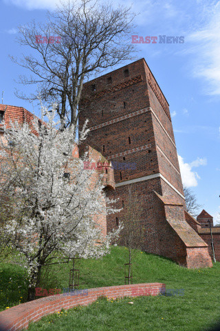 Polska Albin Marciniak