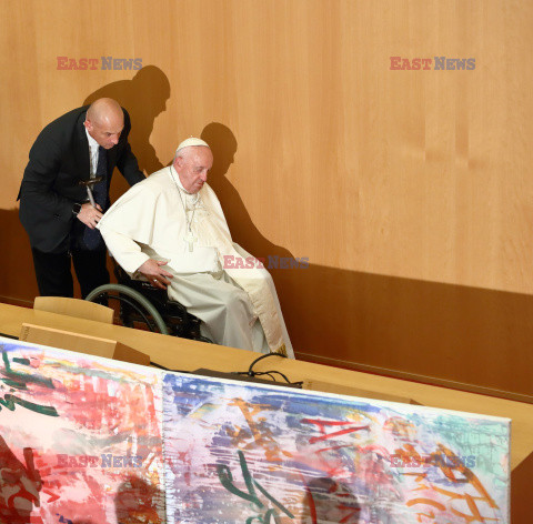 Papież Franciszek na konferencji ekologicznej