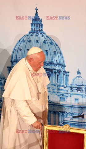 Papież Franciszek na konferencji ekologicznej