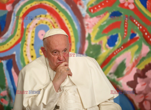 Papież Franciszek na konferencji ekologicznej