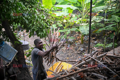 Dous Makos, waniliowa krówka z Haiti