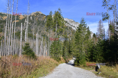 Polskie Tatry Albin Marciniak