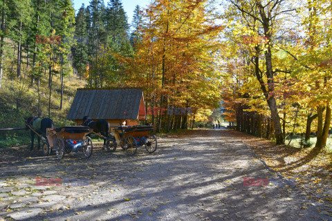 Polskie Tatry Albin Marciniak