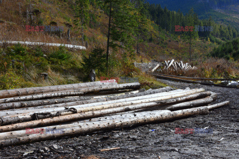 Polskie Tatry Albin Marciniak