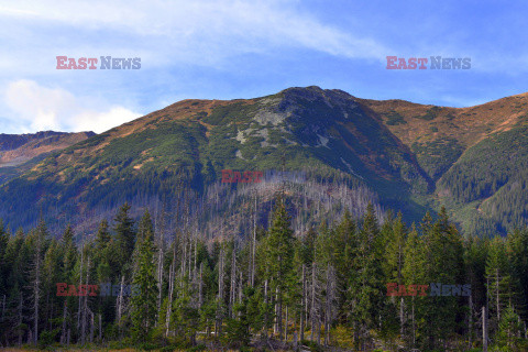 Polskie Tatry Albin Marciniak