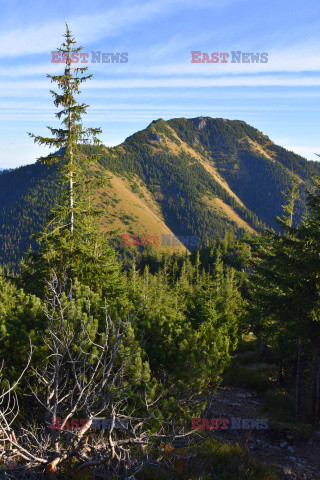 Polskie Tatry Albin Marciniak