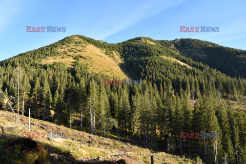 Polskie Tatry Albin Marciniak