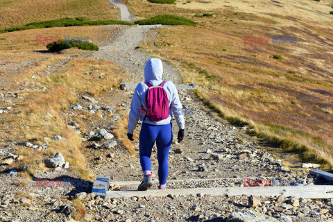 Polskie Tatry Albin Marciniak