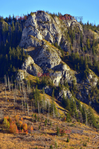 Polskie Tatry Albin Marciniak